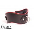 Avalon - GUARDED - Collar med god Polstring, Svart og Rødt