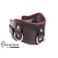 Avalon - CONQUER - Collar med god polstring, Svart og Rødt Avalon - CONQUER - Collar med god polstring, Svart og Rødt