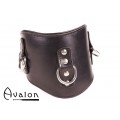 Avalon - CORRUPT - Bredt Collar med god polstring, Svart