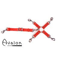 Avalon - SACRED - Hog-tie-sett med 5 deler - Rød