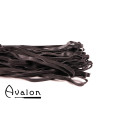 Avalon - LUCIUS - Sort Flogger i Mykt Lær