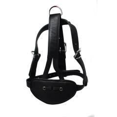 Avalon - BEHAVE - Hodeharness i Lær med Gag