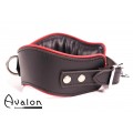 Avalon - GUARDED - Collar med god Polstring, Svart og Rødt