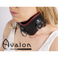 Avalon - CONQUER - Collar med god polstring, Svart og Rødt Avalon - CONQUER - Collar med god polstring, Svart og Rødt
