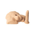 Silexd - Apollo Torso med utbyttbar Dildo