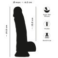 You2Toys - PRIDE! - Dildo med pung